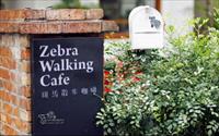 「Zebra Walking斑馬散步咖啡」