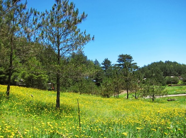 「福壽山農場」Blog遊記的精采圖片