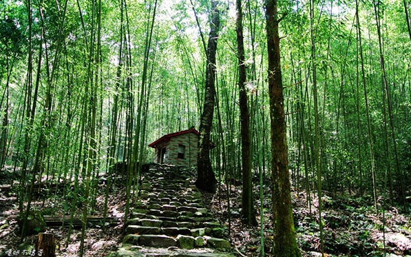 「八仙山森林遊樂區」Blog遊記的精采圖片