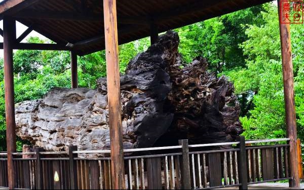 台中景點「東勢林業文化園區」Blog遊記的精采圖片