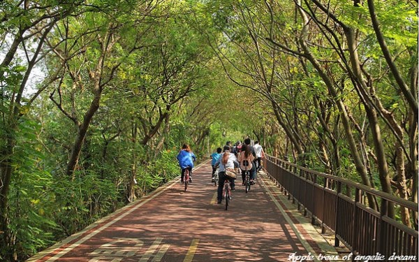 「東豐綠色走廊」Blog遊記的精采圖片